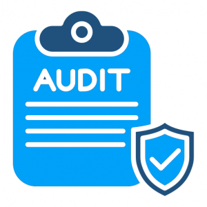 Audit
